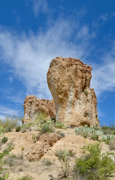 기념물 Tonto National Monument 아리조나 카운티에 산맥에 기념비이다 지역은 서식지인 — 스톡 사진