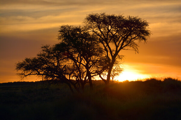 Beautiful orange sunset in Namibia