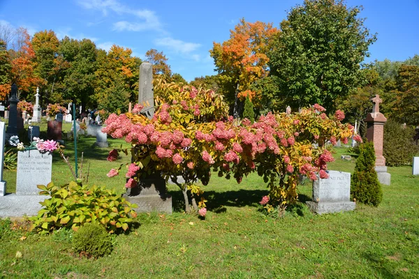 Tumbas en el cementerio de Notre-Dame-des-Neiges —  Fotos de Stock