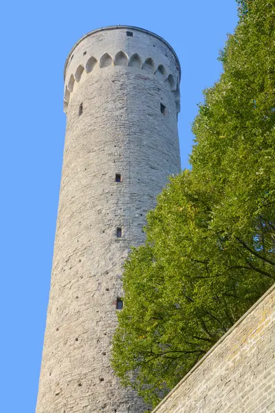 Tallinn Estonia September 2015 Tower Toompea Castle Domberg Cathedral Hill — стоковое фото