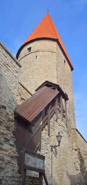 Tallinn Estônia Setembro 2015 Torre Castelo Toompea Domberg Colina Catedral — Fotografia de Stock