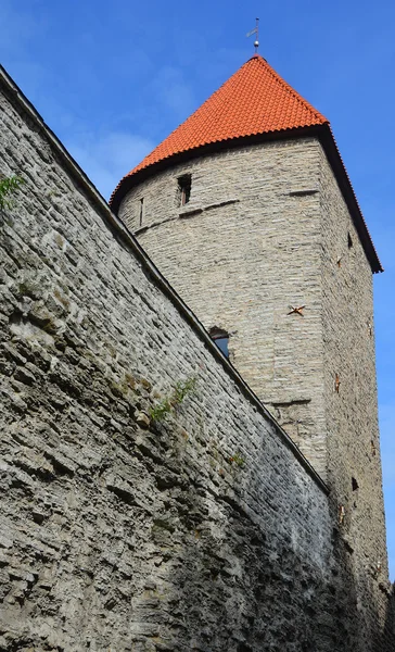 爱沙尼亚塔林 2015年9月18日 托姆皮亚城堡 Domberg 或爱沙尼亚塔林大教堂山 Cathedral Hill 它是联合国世界文化遗产的一部分 — 图库照片