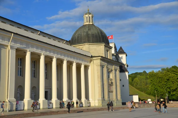 Vilnius Litauen September 2015 Die Kathedrale Von Vilnius Ist Die — Stockfoto