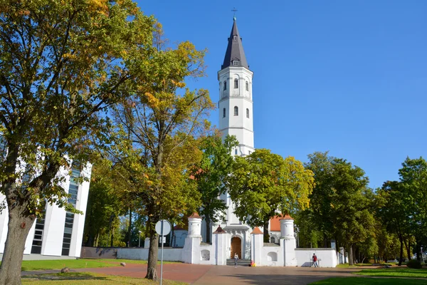 Siauliai Lituania Septiembre 2015 Catedral Siauliai San Pedro San Pablo — Foto de Stock