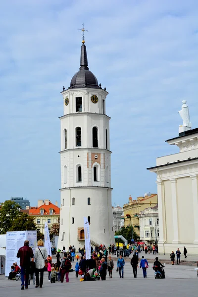 Vilnius Lithuania September 2015 Cathedral Vilnius Main Roman Catholic Cathedral — Stock Photo, Image