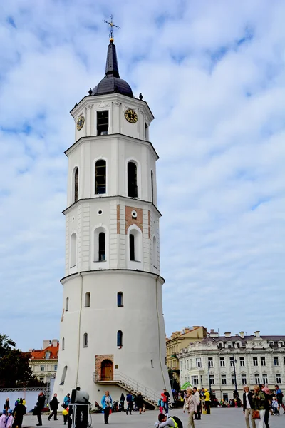 Vilnius Lithuania Septiembre 2015 Catedral Vilna Principal Catedral Católica Lituania — Foto de Stock