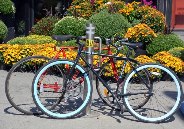 フラワーガーデン近くの自転車駐車場 — ストック写真