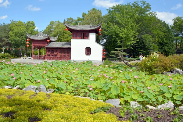 Montreal Kanada Augusztus 2015 Kínai Kert Montreal Botanikus Kert Tartják — Stock Fotó