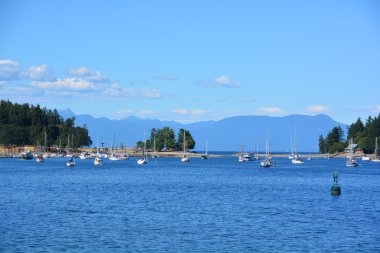 Denizdeki yatlar ve tekneler