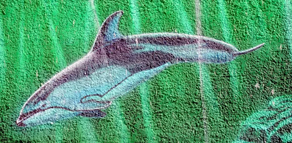 Nanaimo Canada Giugno 2015 Arte Murale Dei Delfini Nanaimo Una — Foto Stock