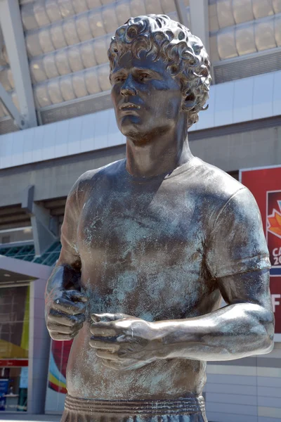 Vancouver Canada June 2015 Statue Terrance Stanley Terry Fox July — Stock Photo, Image