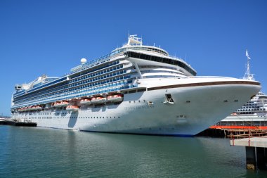 San Diego Ca Usa Nisan 07 2015: Veliaht Prenses, Prenses Cruises 'un sahibi olduğu ve işlettiği birinci sınıf bir yolcu gemisidir. Geminin vaftiz annesi Martha Stewart.. 