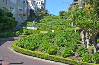 San Francisco Ca Usa 15 Nisan 2015 tarihinde San Francisco California 'nın doğu-batı caddesinde kurulmuştur. Sokak dünyanın en eğri caddesi olarak bilinir.