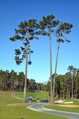 Parktaki golf sahası.