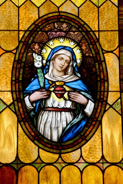 San Diego California Usa April Virgin Mary Sacred Heart Stained — Stock Photo, Image