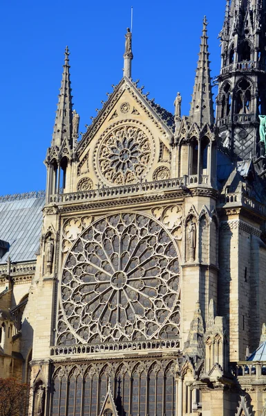 Paris França Ptu Detalhes Catedral Notre Dame Paris França Outubro — Fotografia de Stock