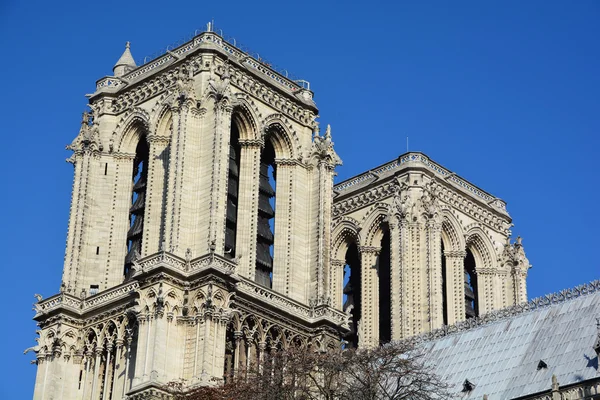Parigi Francia Ottobre Cattedrale Notre Dame Parigi Francia Ottobre 2014 — Foto Stock