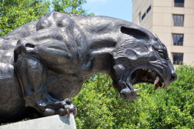 Charlotte North Carolina 21 Haziran 2016: Carolina Panteri 'nin bronz heykeli ev sahibi oldukları Bank of America Stadyumu önünde.