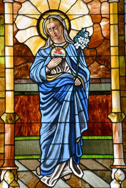 Charlotte 2016 Glassmaleri Peter Den Eldste Romersk Katolske Kirke Charlotte – stockfoto