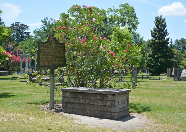 Savanne Georgien Usa Juni 2016 Kolonialparkfriedhof Ist Seit 1853 Für — Stockfoto