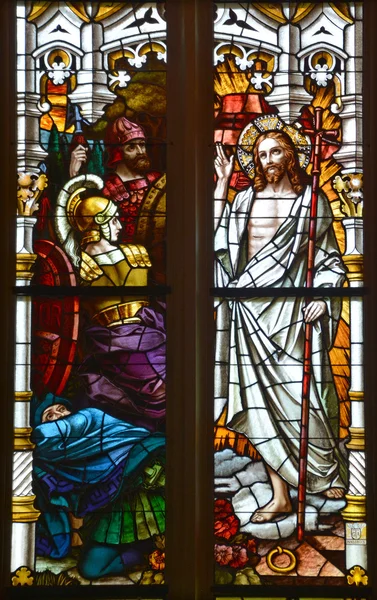 Savannah Georgia Június 2016 Stained Glass Window Cathedral John Baptist — Stock Fotó