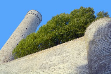 Tallinn, Estonya - 18 Eylül 2015: Tallinn, Estonya 'daki Toompea Kalesi (Domberg) veya Katedral Tepesi Kulesi. Unesco Dünya Mirası sitesinin bir parçası.
