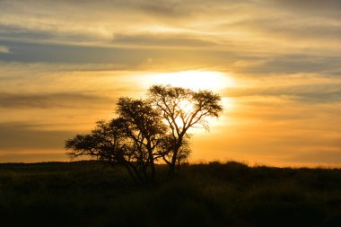 Afrika, Namibya tatlısında gün batımı