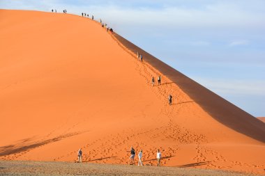 Namib-Naukluft Ulusal Parkı, Namib Çölü 'nün (dünyanın en eski çölü olarak kabul edilir) ve Naukluft Dağları' nın bulunduğu ulusal park..