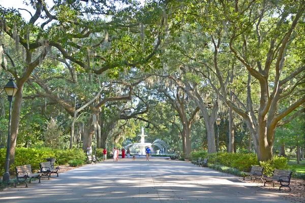 Savannah Georgia Usa 2016 Forsyth Park 福赛思公园是一个深受当地人和游客欢迎的地方 有很多地方可以坐着 在树阴下休息 — 图库照片