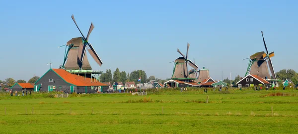 Ícone Isolado Da Construção Do Moinho De Vento Medieval De Holland