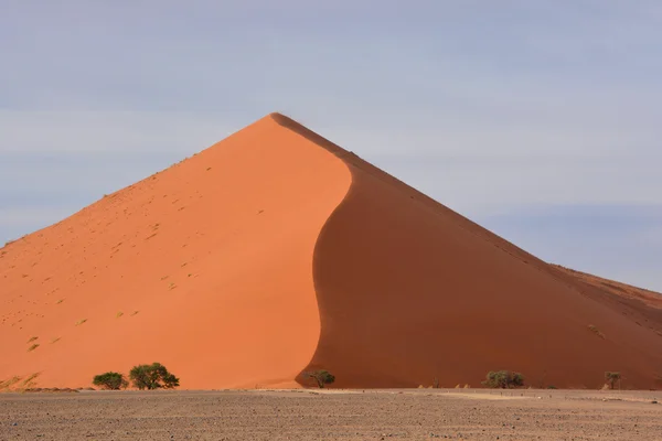 Parque Nacional Namib Naukluft Parque Nacional Namibia Que Abarca Parte —  Fotos de Stock