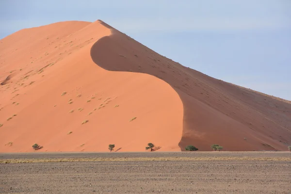 Namib Naukluft Ulusal Parkı Namib Çölü Nün Dünyanın Eski Çölü — Stok fotoğraf