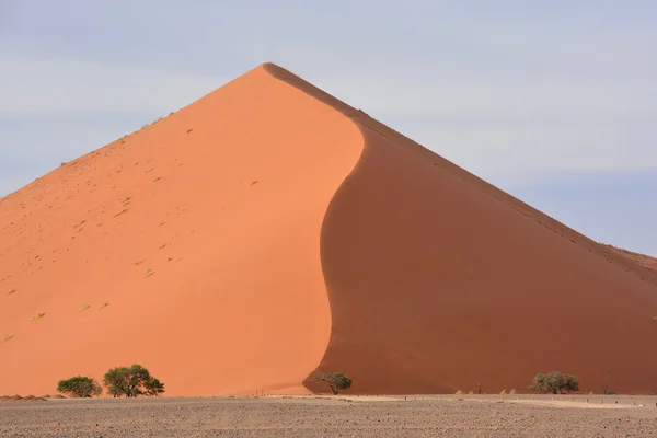 Namib Naukluft National Park Nationalpark Namibia Som Omfattar Del Namib — Stockfoto