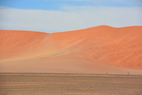 Der Namib Naukluft Nationalpark Ist Ein Namibischer Nationalpark Der Einen — Stockfoto