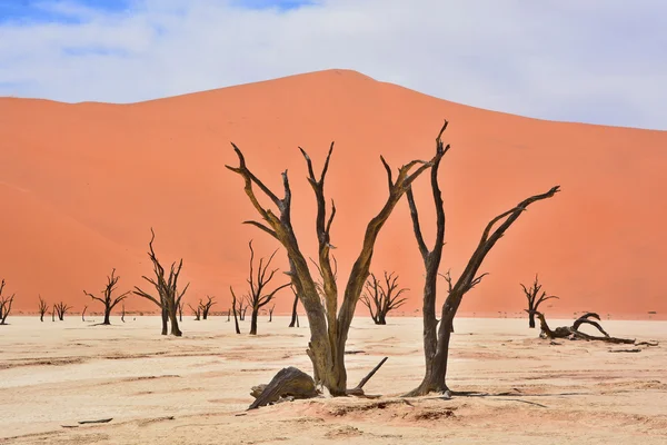 Deadvlei White Clay Pan Located More Famous Salt Pan Sossusvlei — 스톡 사진