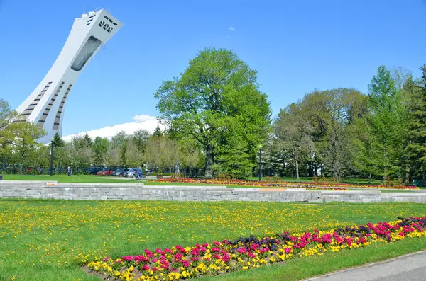 Montreal Canadá Mayo Estadio Olímpico Montreal Torre Mayo 2014 Torre — Foto de Stock