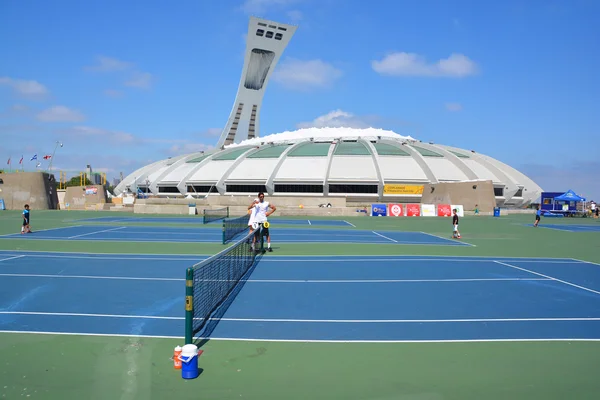 Montreal Canada Agosto 2015 Stadio Olimpico Montreal Torre Torre Inclinata — Foto Stock