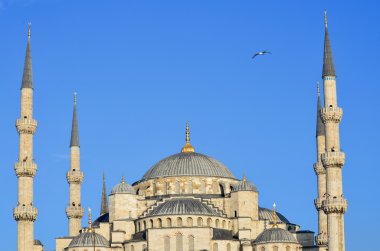 İSTANBUL TURKET Ekim 04: Sultan Ahmed Camii, Ekim 04, 2013, İstanbul, Türkiye. Sultan Ahmed Camii (Mavi Cami) İstanbul 'un en popüler turizm beldeleri üzerine.
