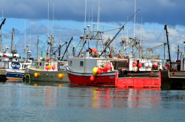 Digby Nova Scotia 4 Haziran: Digby Limanı Nova Scotia 'nın güneybatısında bir Kanada kasabası. = = Coğrafi konumu = = Digby ilçesinin yönetim merkezi ve en büyük nüfus merkezidir.