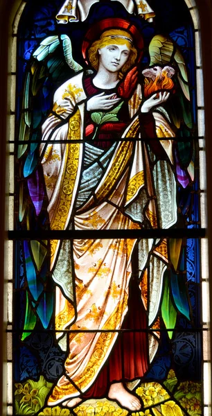 Halifax Nova Scotia June Stained Glass Window Paul Church Evangelical — 图库照片