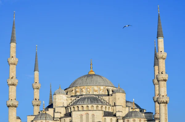 Istanbul Turket Turket October Sultan Ahmed Mosque October 2013 Istanbul — стоковое фото