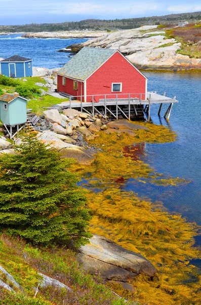 Peggy Cove Nova Scotia June Typical Fisherman Shack Peggy Cove — Stock Photo, Image