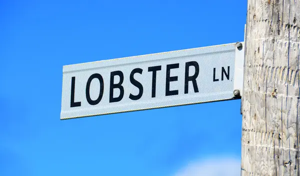 Lobster Line Peggy Cove Nova Scotia Canada — стокове фото