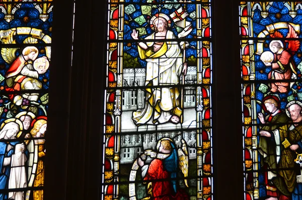 聖ヨハネのニューファンドランド6月11日 洗礼者ヨハネ大聖堂のステンドグラスの窓カナダのニューファンドランド ラブラドール州聖ヨハネの街に位置しています 2014年6月11日 — ストック写真