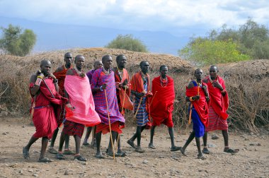 AMBOSELI, KENYA - 13 OCT: Masai kabilesinden tanımlanamayan Afrikalı insanlar Kenya 'nın Masai Mara kentinde 13 Ekim 2011' de geleneksel bir atlama dansı yapmaya hazırlanıyorlar. Onlar göçebe ve küçük köylerde yaşıyorlar..