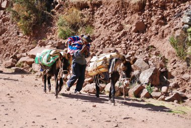 Titicaca Gölü Peru 22 Kasım 2010: 22 Kasım 2010 'da Titicaca Gölü' nde yaşayan yaşlı Perulu insanlar kötü durumda. Ulusal yoksulluk oranı yüzde 50 'nin üzerinde..