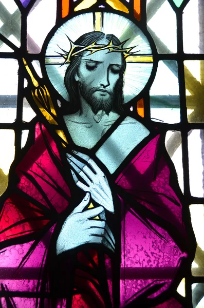 Червня Сент Джон Ньюфаундленд Скляне Вікно Соборі Базиліки Соборі Святого — стокове фото