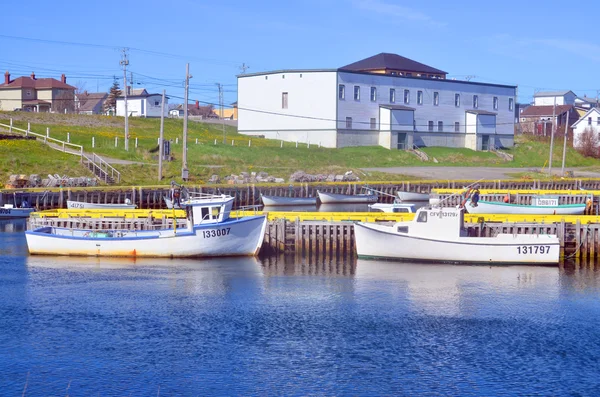 トリニティ ニューファンドランド6月12日 トリニティ ニューファンドランドで2014年6月12日に典型的な漁村 郡内には多くの建築物が登録文化財に指定されている — ストック写真