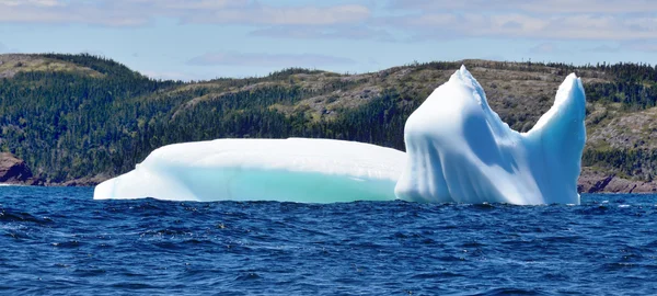 Jéghegy Cape Bonavista Fundland Kanada — Stock Fotó