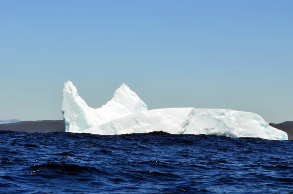 Iceberg Capo Bonavista Terranova Canada — Foto Stock